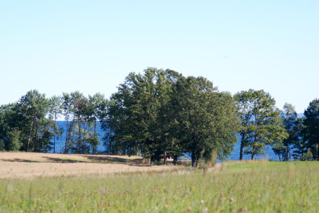 Krokstorps Gard Munkaskog Kültér fotó